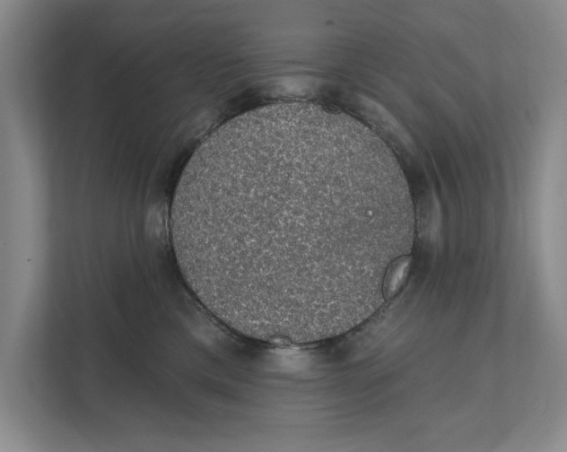 X0000111930425200908171240