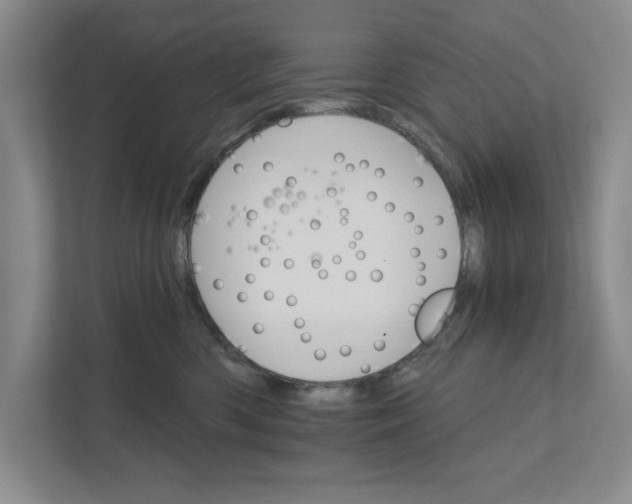 X0000111930426200908171240