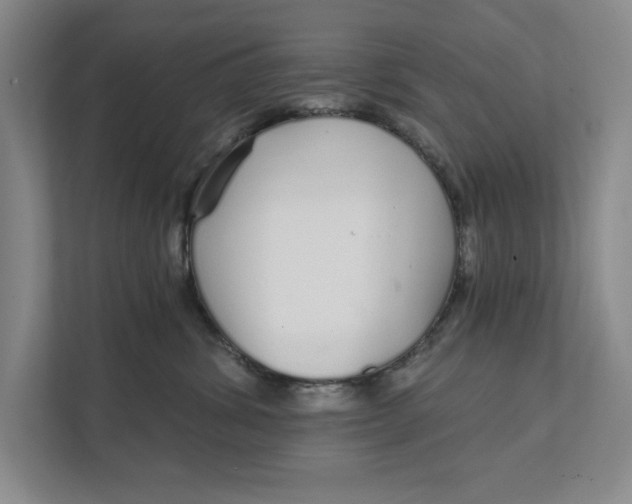 X0000111930428200908171240