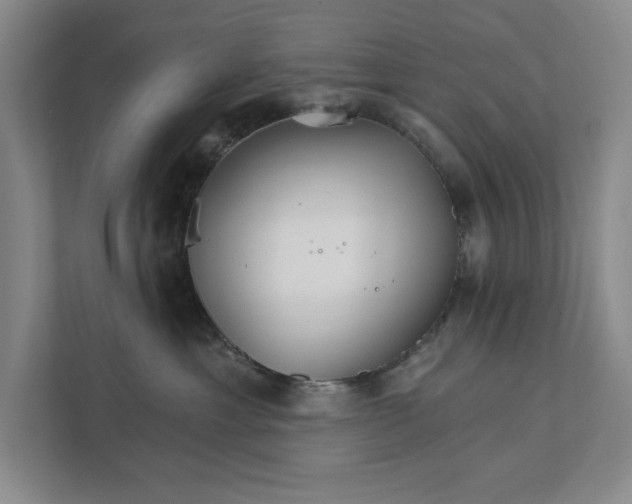 X0000111930429200908171240