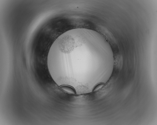 X0000111930430200908171240