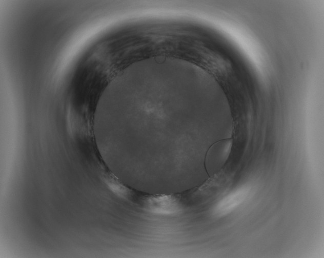 X0000111930431200908171240