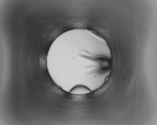 X0000111930432200908171240