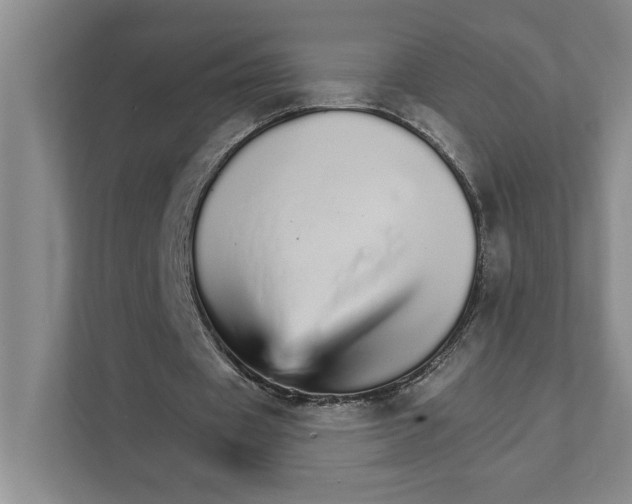 X0000111930433200908171239