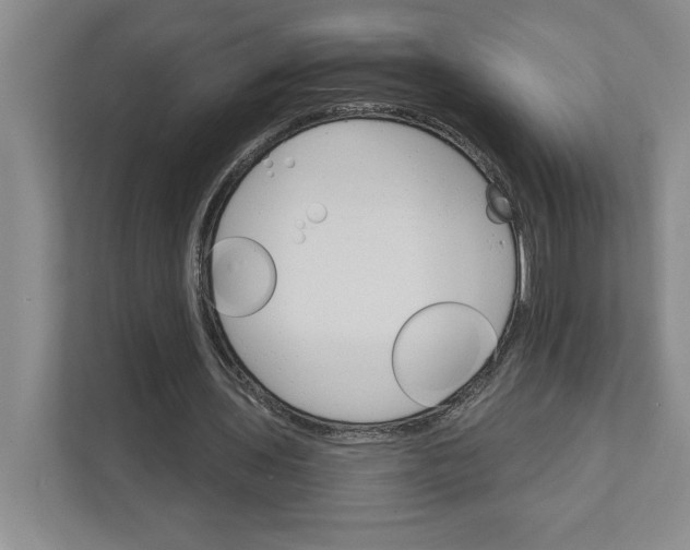 X0000111930435200908171240