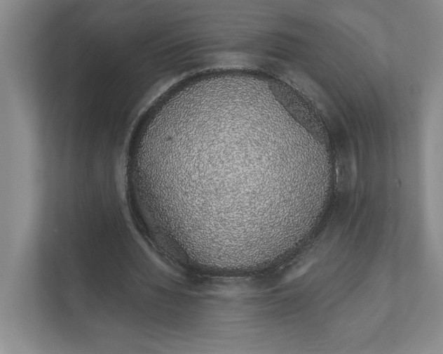 X0000111930436200908171240