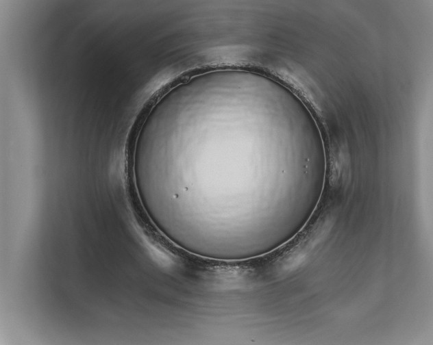 X0000111930439200908171240