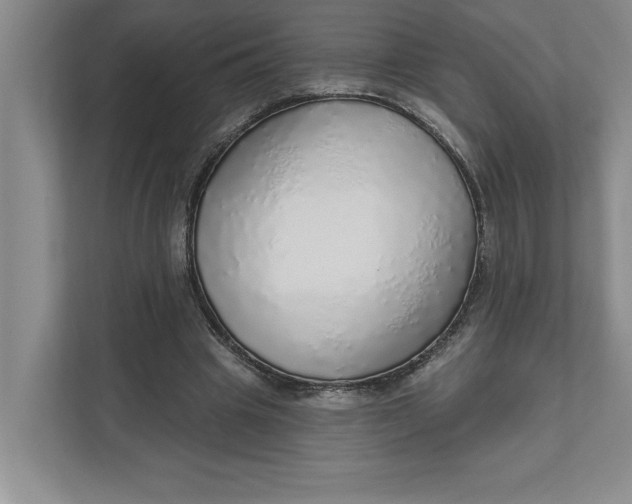 X0000111930441200908171240