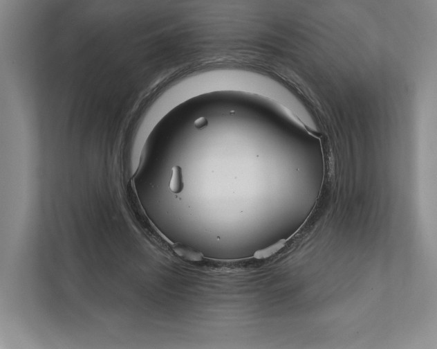 X0000111930444200908171240