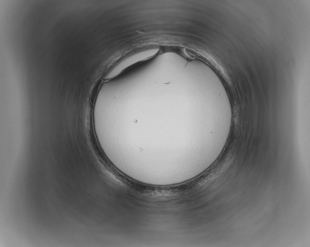 X0000111930445200908171240