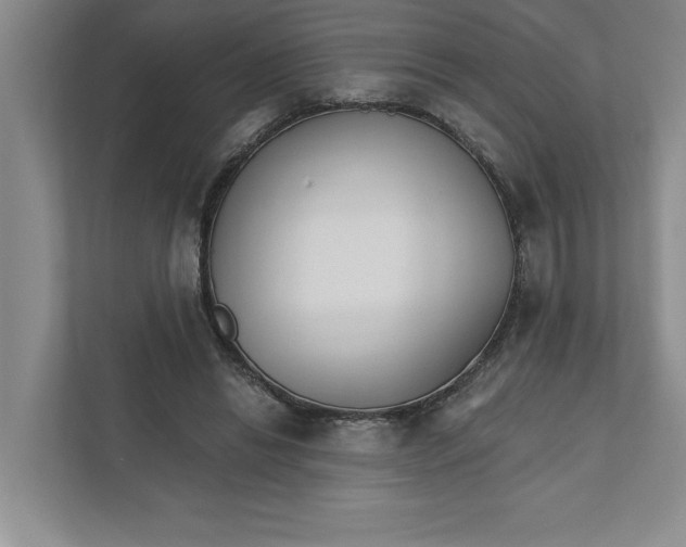 X0000111930446200908171240