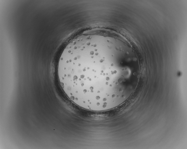 X0000111930448200908171240