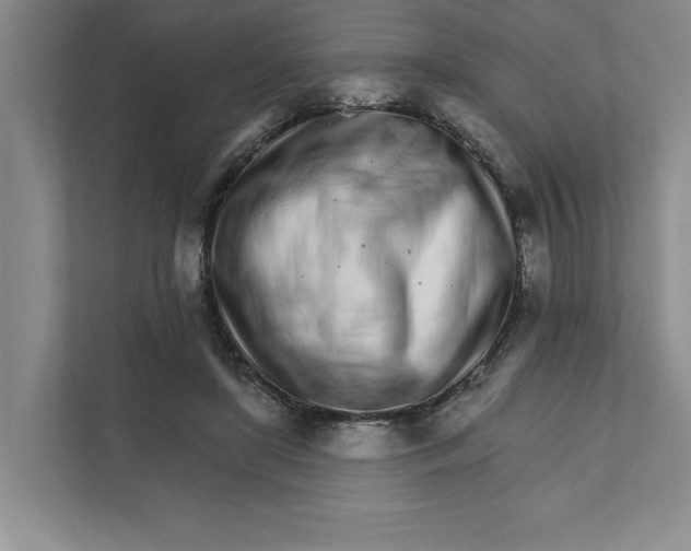 X0000111930451200908171240