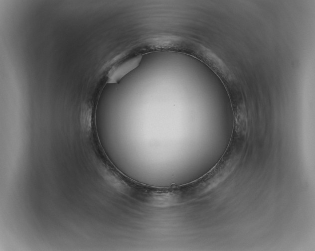 X0000111930454200908171240