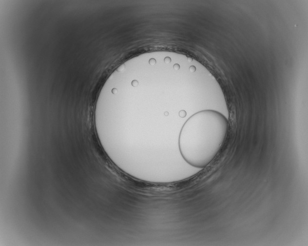 X0000111930462200908171240