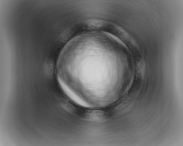 X0000111930463200908171240