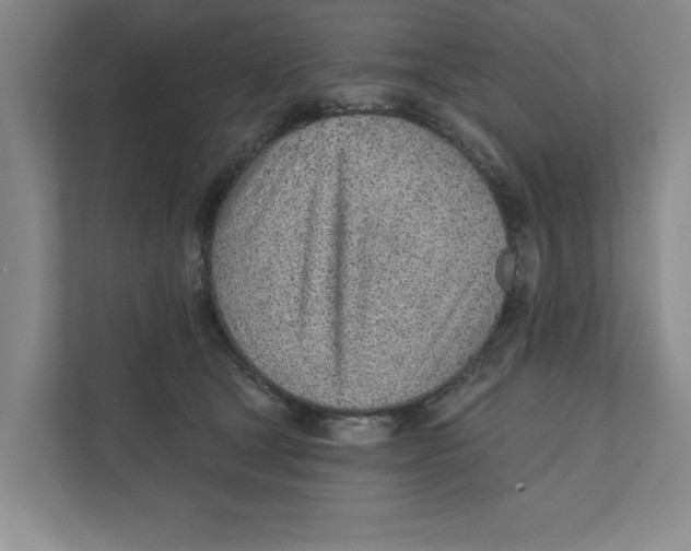 X0000111930465200908171240