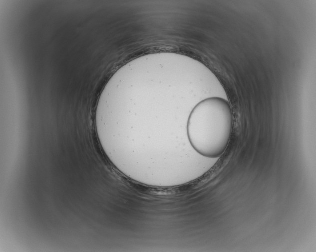 X0000111930466200908171240