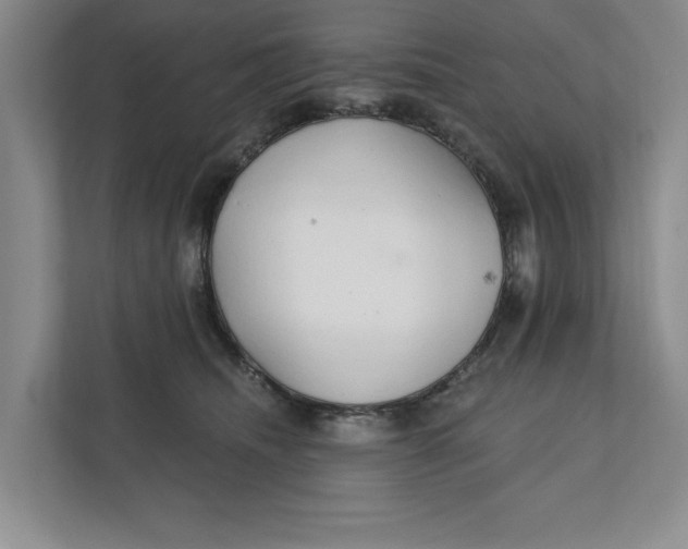 X0000111930468200908171240