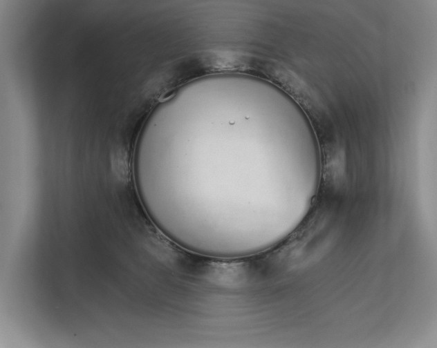 X0000111930469200908171240