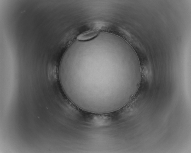 X0000111930470200908171240