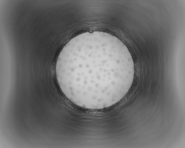 X0000111930471200908171240