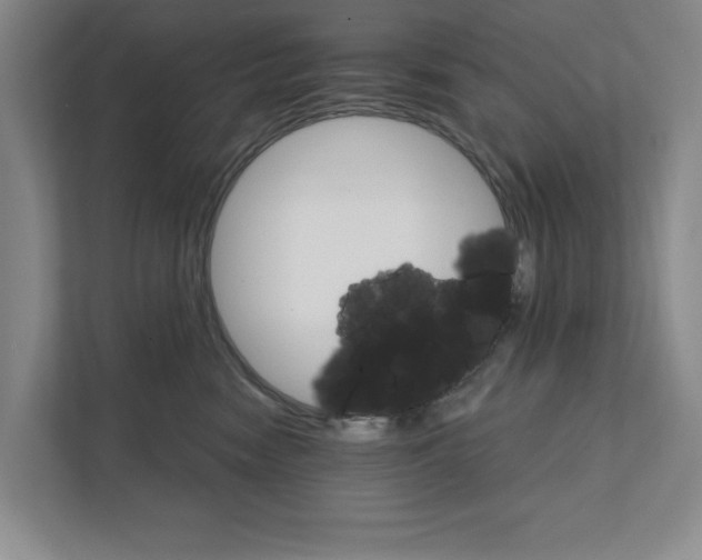 X0000111930474200908171240