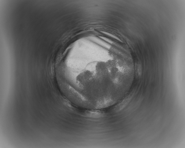 X0000111930475200908171240