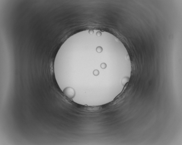 X0000111930479200908171240