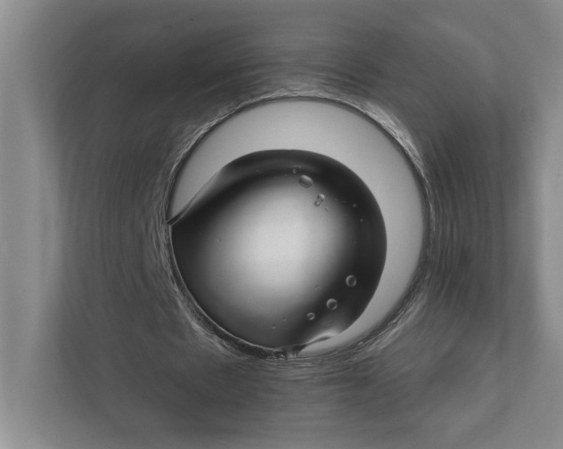 X0000111930481200908171239