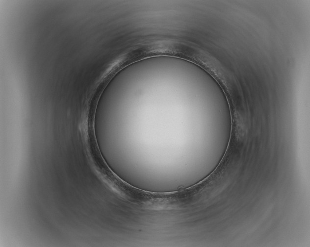 X0000111930482200908171239