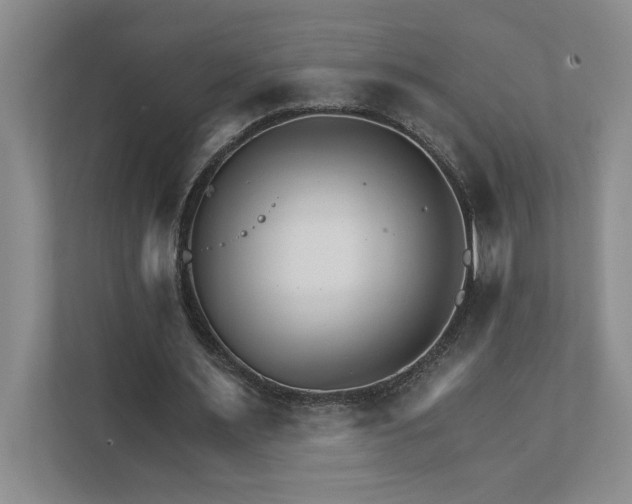 X0000111930483200908171239