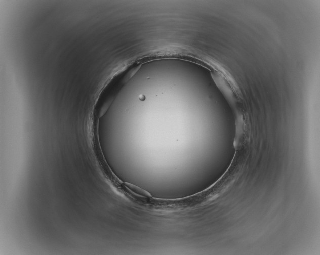 X0000111930485200908171239