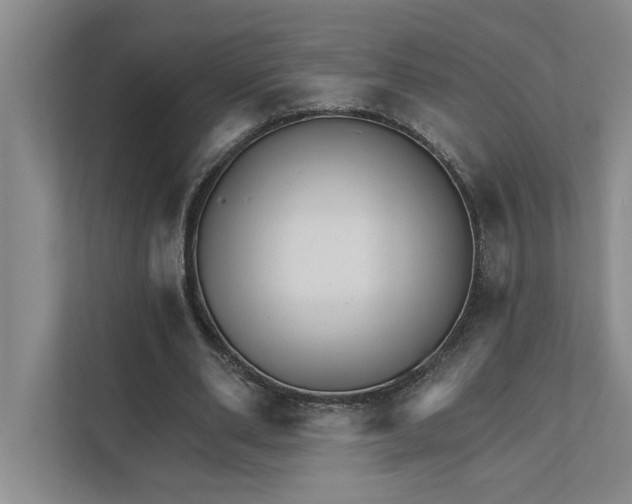 X0000111930486200908171239