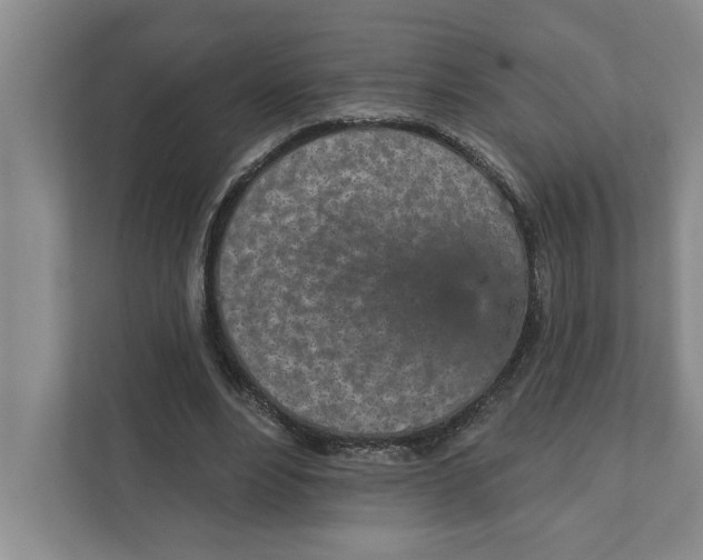 X0000111930488200908171239