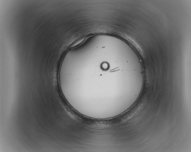 X0000111930489200908171239