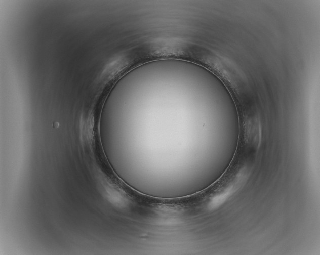 X0000111930490200908171239