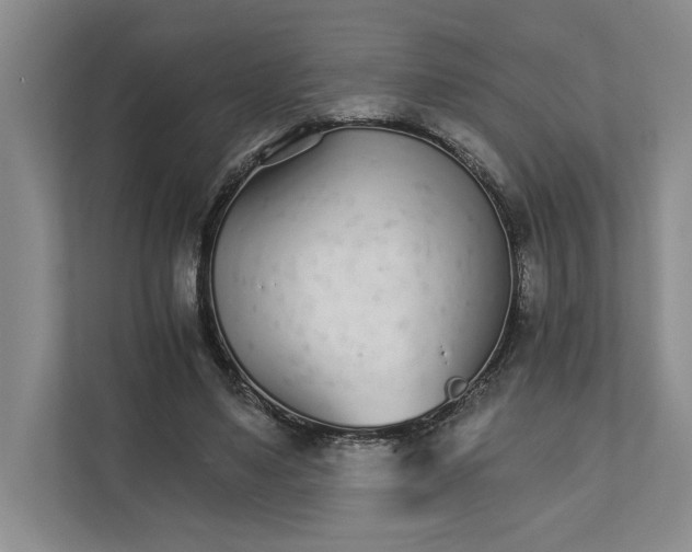 X0000111930491200908171239