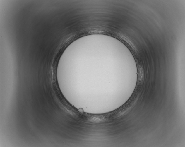 X0000111930494200908171239