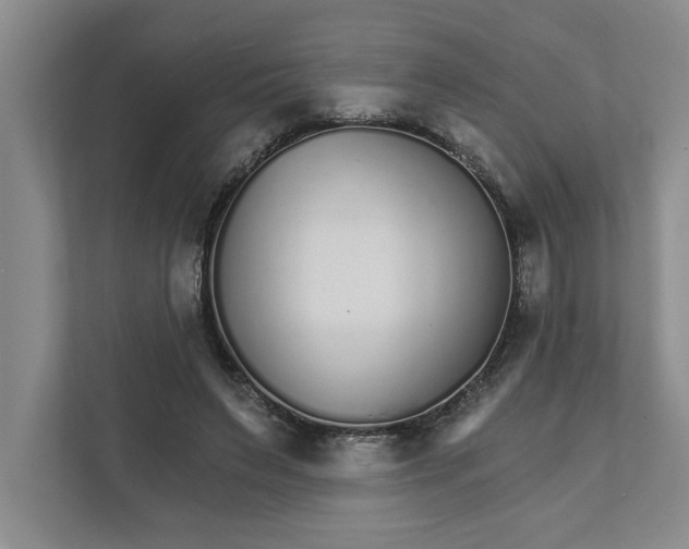 X0000111930495200908171239