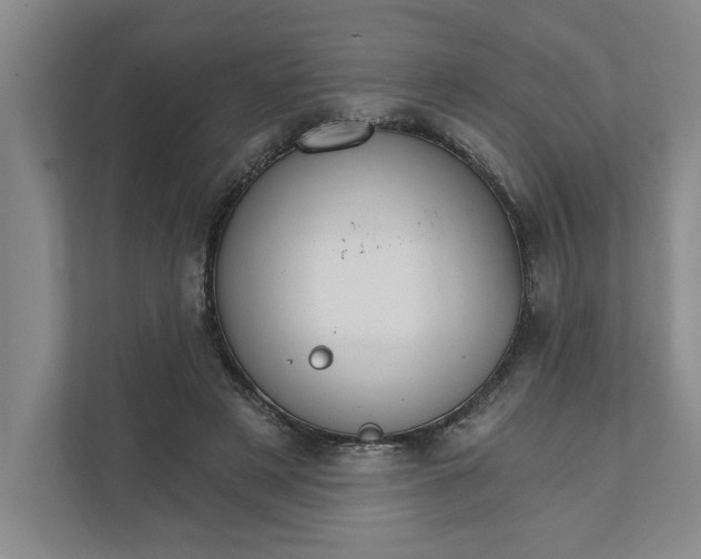 X0000111930497200908171239