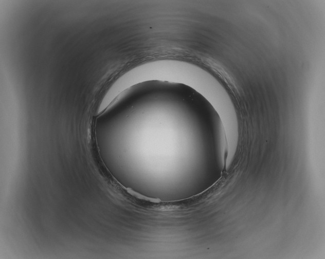 X0000111930501200908171239