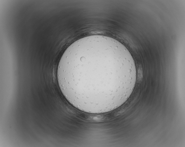 X0000111930506200908171239