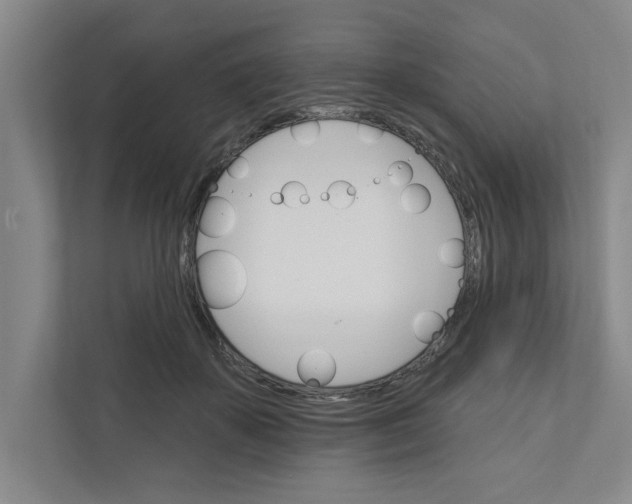 X0000111930507200908171239