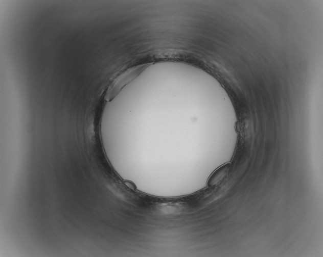 X0000111930508200908171239