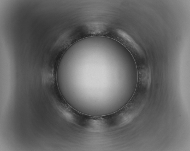 X0000111930510200908171239