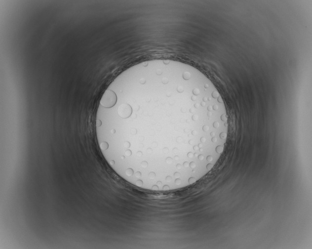 X0000111930511200908171239