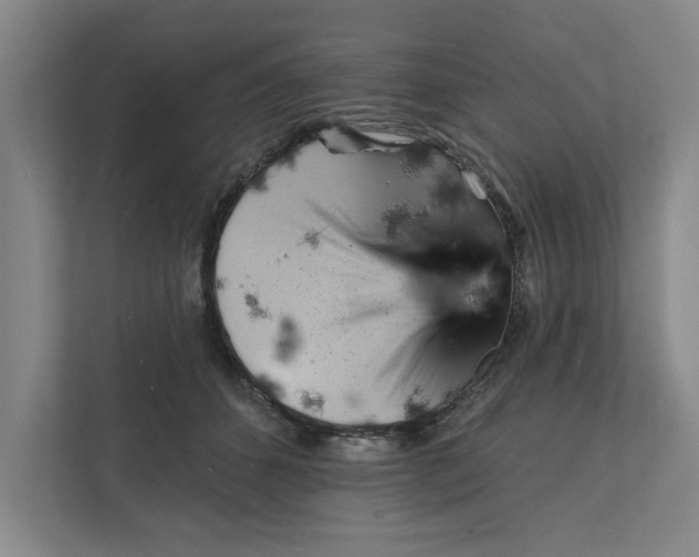 X0000111930512200908171239