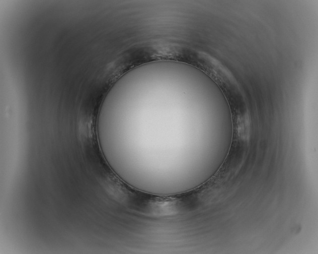 X0000111930514200908171239