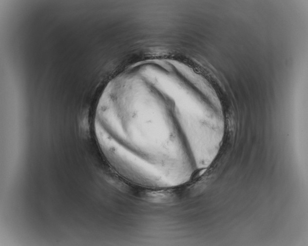 X0000111930516200908171239